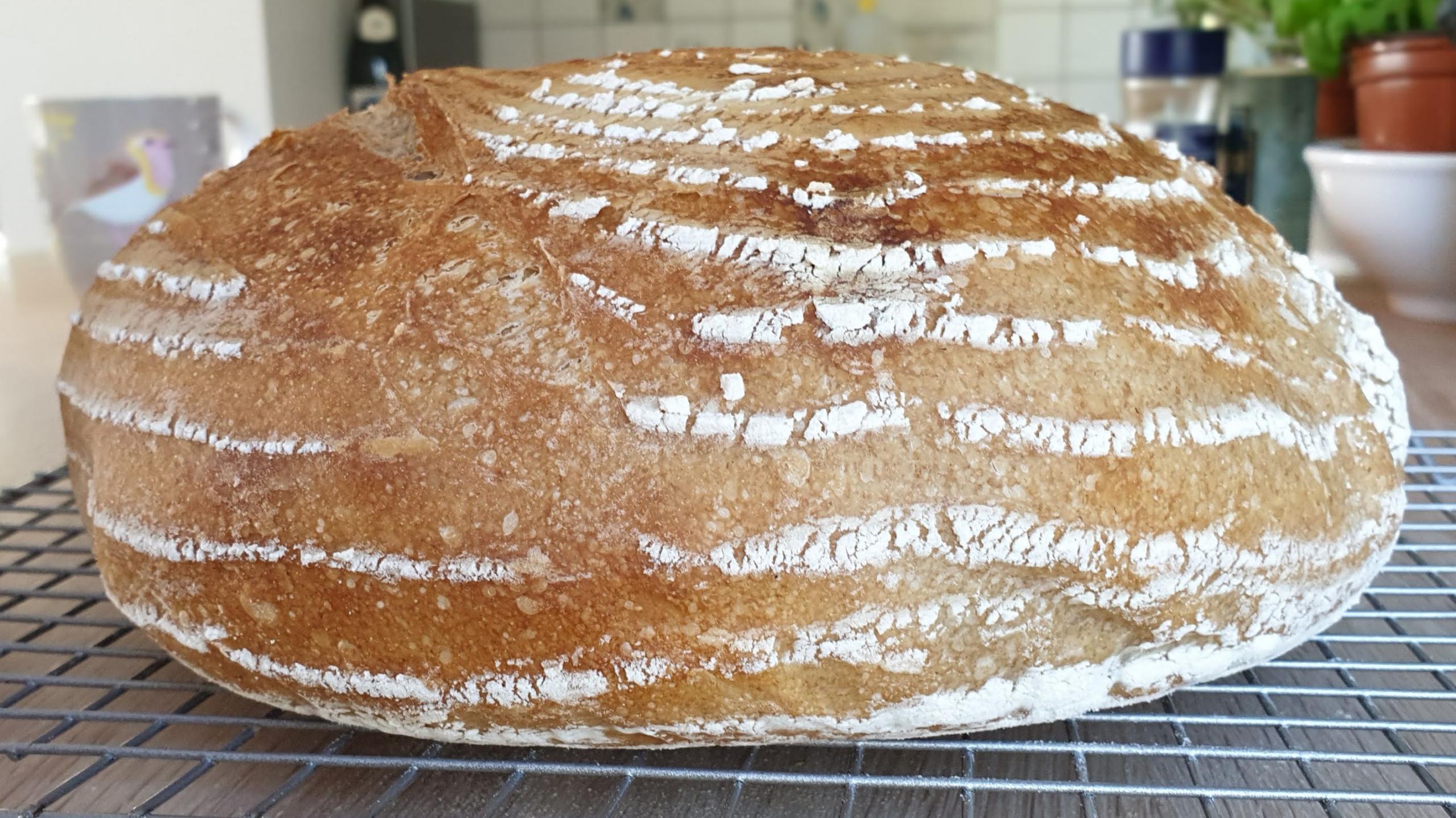 Overproof or underproof sourdough bread ? The Fresh Loaf